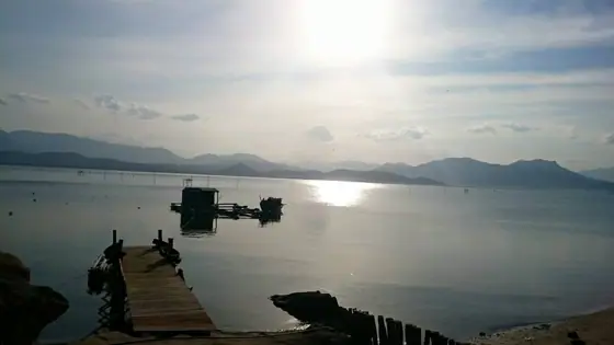 Hiện trạng khu đất 2