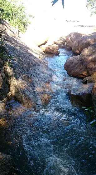 Hiện trạng khu đất 19